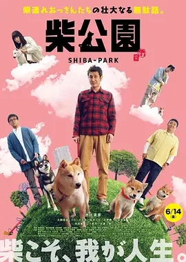 手机在线观看