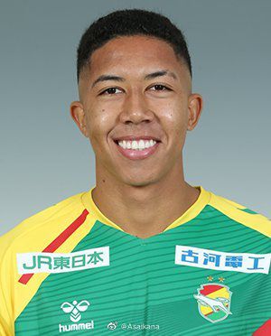 全集已更新国语版