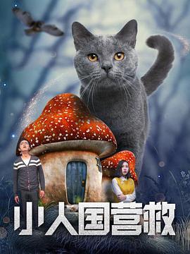 蓝光原盘在线观看