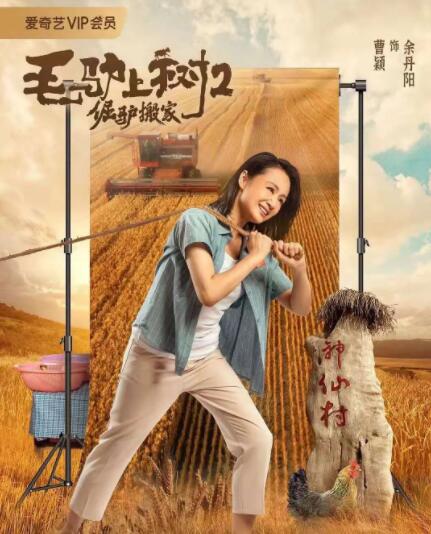 高清影视