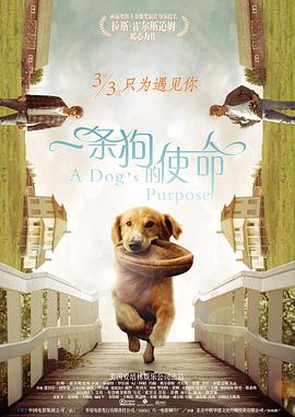 1080P手机在线看
