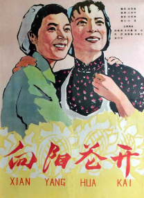 DVD无删减90分钟观看