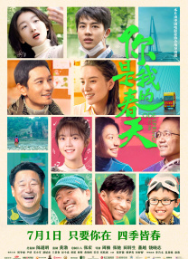 清晰在线播放观看
