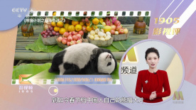 BD国语全集免费观看